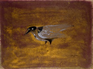 Spirit Bird- Morris Graves 1953