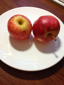 Reference for my piece.  Apples from my neighbors tree that fall into my backyard. :)